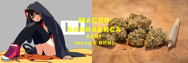 твердый Зеленодольск