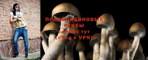 твердый Зеленодольск